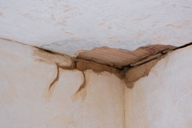Best 24/7 water damage repair  in Dyer, TN