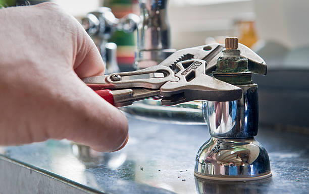 Best Flood damage cleanup  in Dyer, TN
